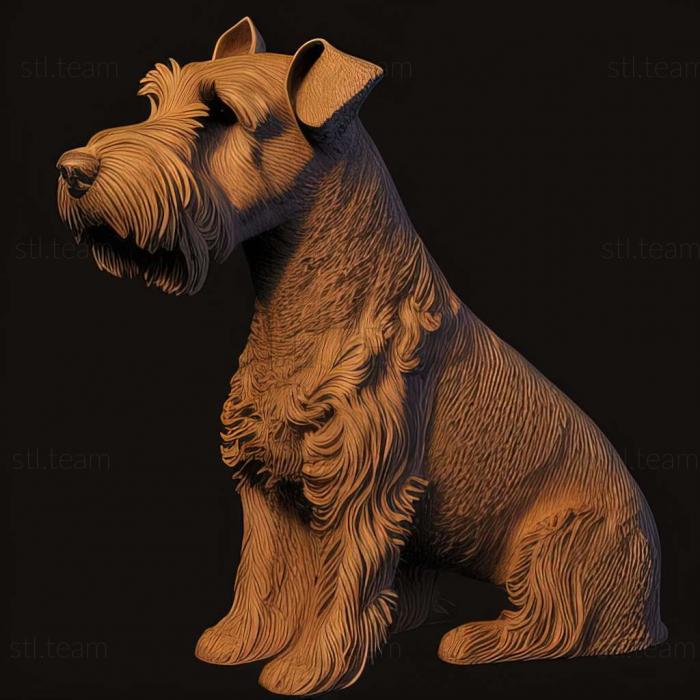 Animals Welsh Terrier dog